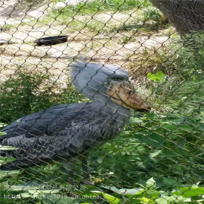 Decorative Stainless Steel Flexible Rope Mesh for Animal Enclosures