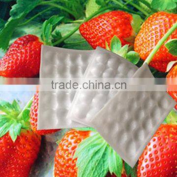 Colorful PE foam tray for strawberry