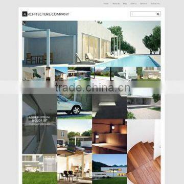 Website Design & Development photo-2
