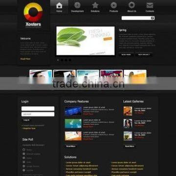 Web Development Companies photo-4