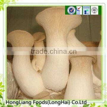 2014 fresh Pleurotus Eryngii from China