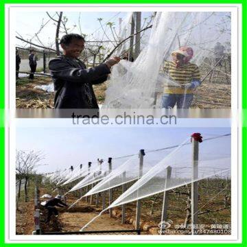 Grape Hail Protection Net/resist Hail Mesh/woven Anti Hail Net photo-3
