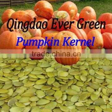 new crop chinese pumpkin seed kernel grade A