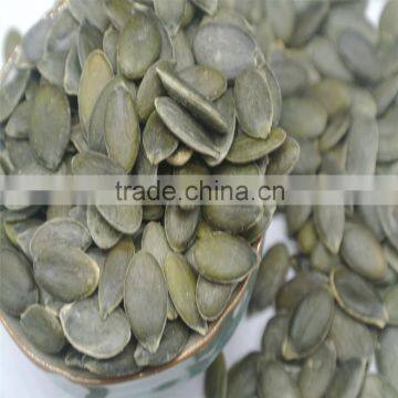 Sugar Beet Pulp Pellet Wholesale Pumpkin Seeds GWS Pumpkin Seeds photo-2