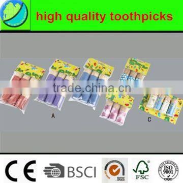 Hot Sell Toothpicks, Wooden Toothpicks, Bamboo Toothpick