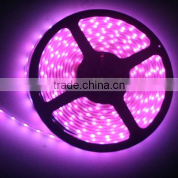 led strip smd 3528 5050 strip light