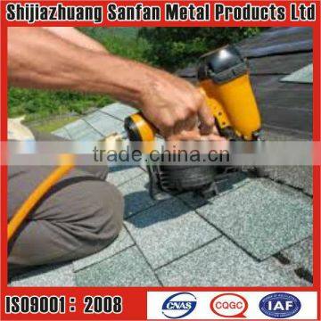 Electric Galvanized Roofing nail with Umbrella Head