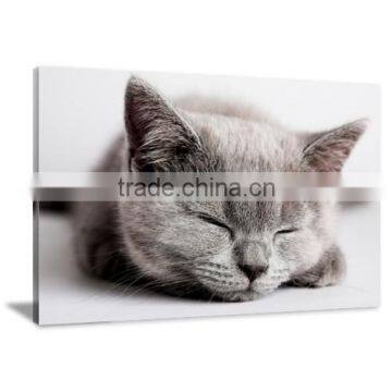 Cat Animal Canvas Printed Painting Art Decor DWYS15