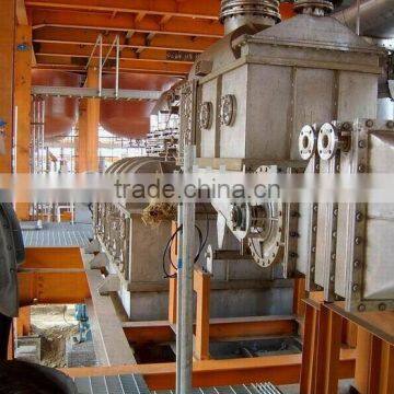 most popular Cacao drying equipment