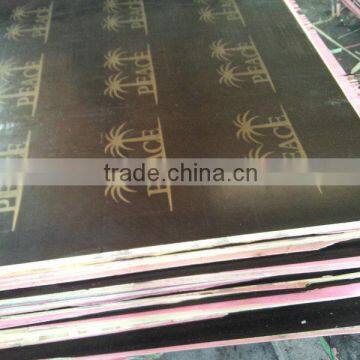 201 new black film faced plywood 21mm