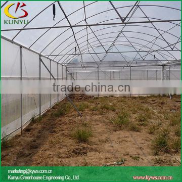 Single span vegetable greenhouse without gutter