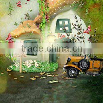 10ft x 20ft Custom Made In China Baby Photo Backdrops For Studio