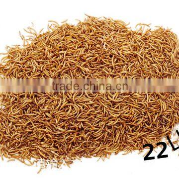 Hign Nutrition Dried Mealworms - Bulks