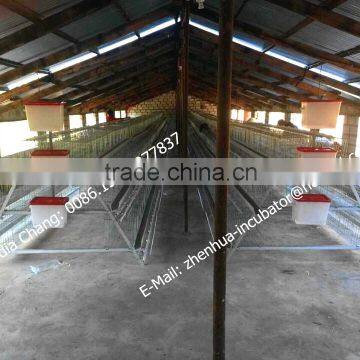China Commercial Chicken Cage for Sale , Chicken Layer Cage Price , Cheap Chicken (lydia : 0086-15965977837)