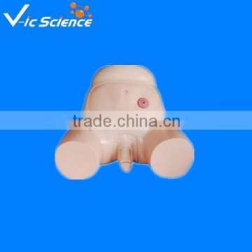 Advanced male urethral catheterization model 100% factory