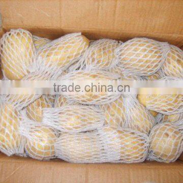 Whole Sale Big Quantity Fresh Yellow Potato (chinese)