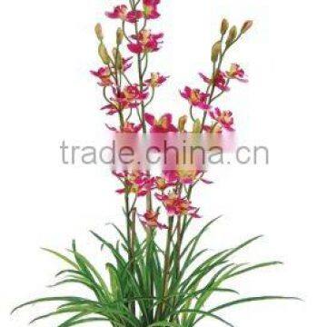 artificial plastic flower-cymbidium