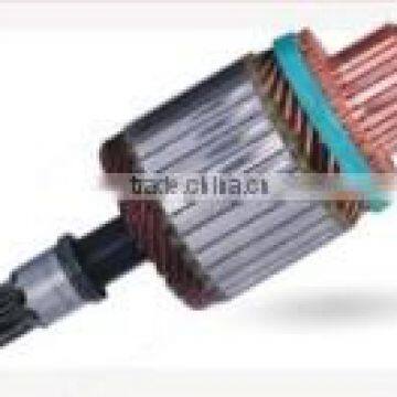 12V armature
