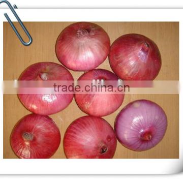 2014 new crop of fresh red onion in carton box for export