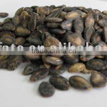 Black watermelon seeds B grade in low price