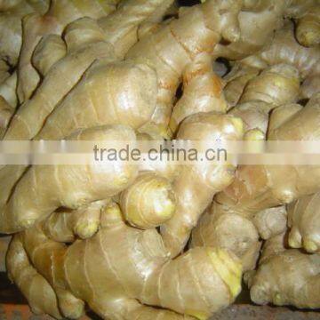 Fresh air dried ginger