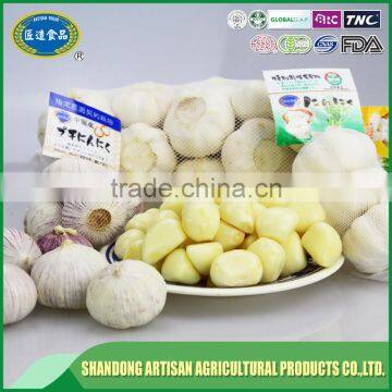 Best Price of Single Clove Garlic for Wholesale photo-4
