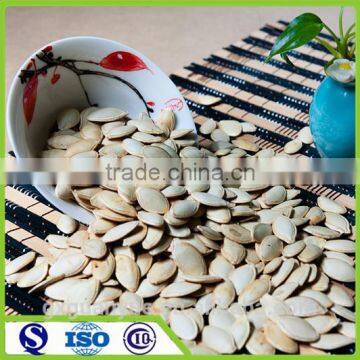 Wholesale Shine skin and snow white pumpkin seeds