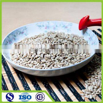 Chinese new crop bakery sunflower seed kernels