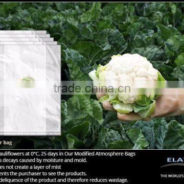 Cauliflower protective bag