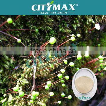 100 water soluble npk fertilizer