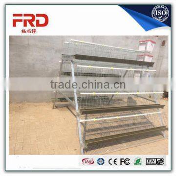 Animal & Poultry Husbandry Equipment high quality automatic layer chicken cages /broiler cage poultry equipment