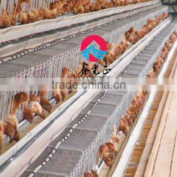 Industrial steel structure building design poultry farm shed chicken house for layers