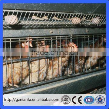 export Kenya galvanized chicken cage/ chicken farm hot sale A Type layer poultry battery cages(Guangzhou Factory)