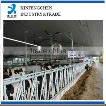 Hot dipped galvanized livstock farm equipment-cattle headlock