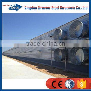 hot sell heat insulation chicken egg farm building