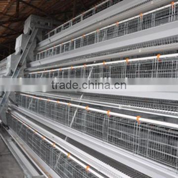 poultry layer cage for sale