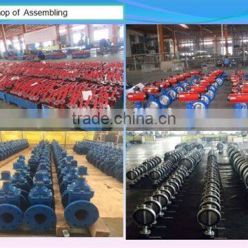 China OEM Investment Casting Valve Disc photo-5