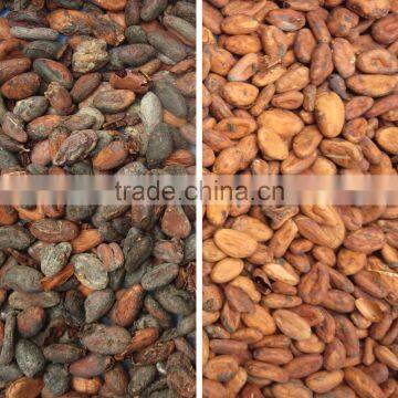 ZRWS High Effective Cocoa Bean Color Sorter/processing Machinery for Cocoa Bean Processing Line photo-4
