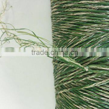 6300Dtex Artificial Grass Yarn/thread for Leisure photo-3