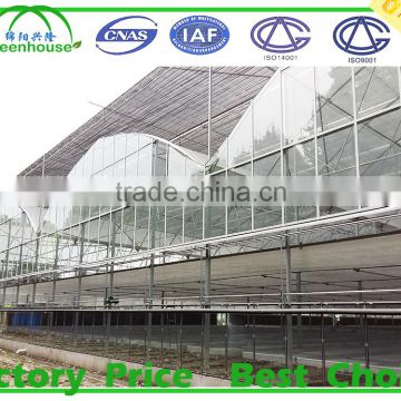 Horticultural Glass Greenhouses