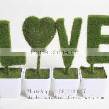 Grass moss topiary plants mini plants custmo made "LOVE"