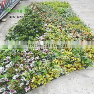 SJLJ013766 China Supplier Direct Selling Artificial Vertical Green Wall With Artificial Plant photo-4