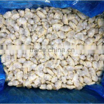 Frozen Short-neck Clam Meat in Bulk