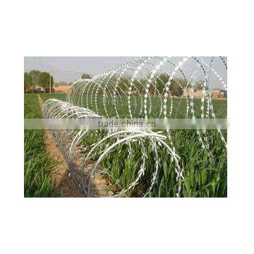 Razor barbed wire,razor wire fencing from Guangzhou