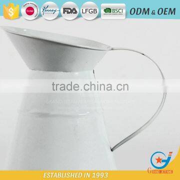 Flower Galvanized Powder Coating Bottle Watering Jug for Plants Decorative Water Jugs photo-5