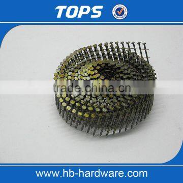 Low Price Good Quality Coil Roofing Nail Made in China photo-5