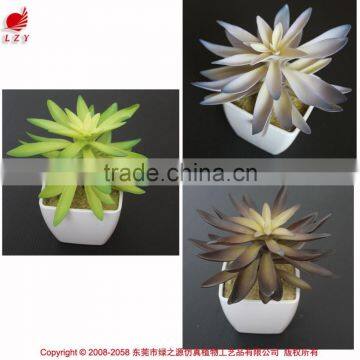 Hot Sale Artificial Potted Plants Chinese Succulent Plants photo-3