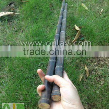 Black dry tonkin bamboo cane/pole