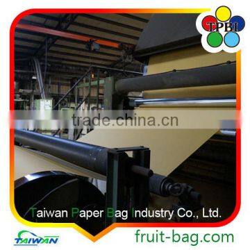 TPBI Double Protection Kraft Paper Bag for Mango photo-2