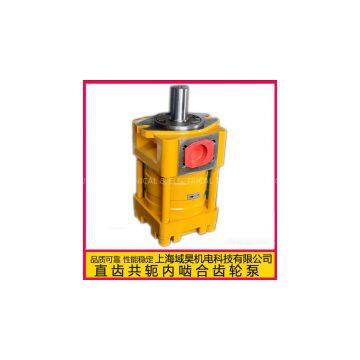 NT4-D63F Internal Gear Pump photo-3